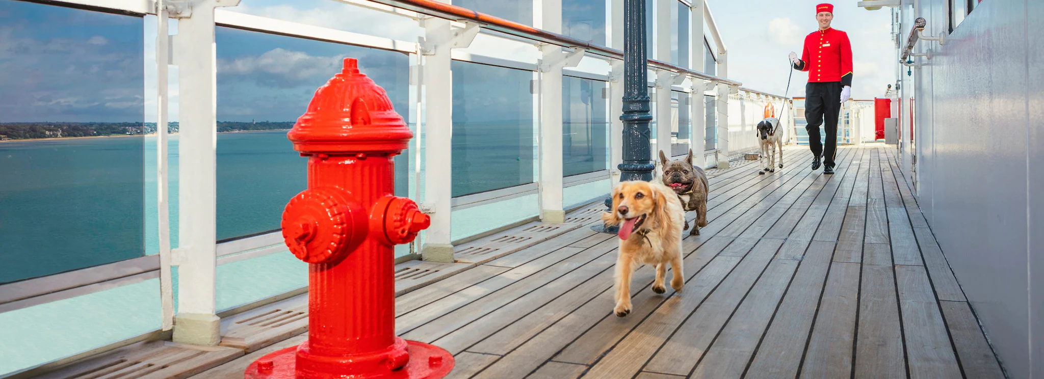 Kennels